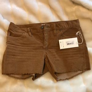 Cute shorts size 2